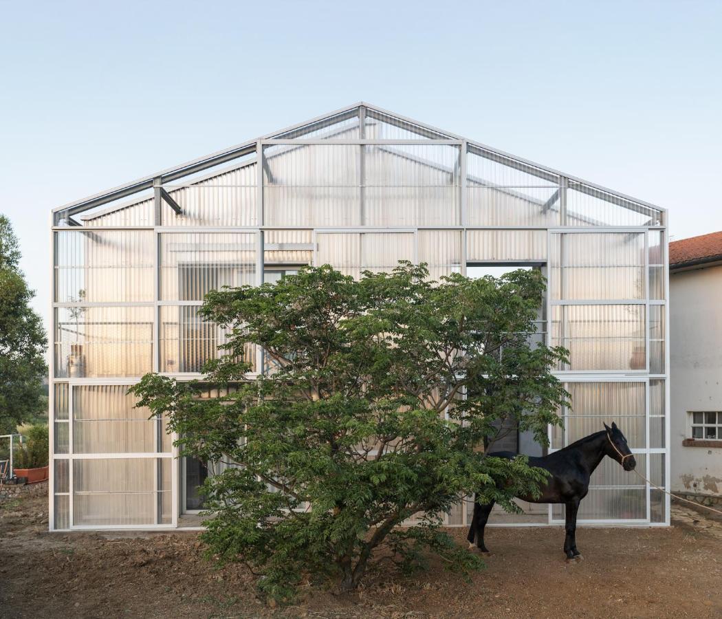 Anonima Agricola Villa Orbetello Exterior foto